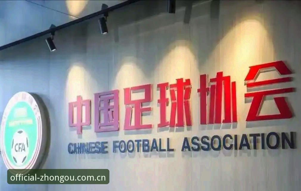 中欧体育平台解读中国足协第三批禁足名单——深度分析与操作教程